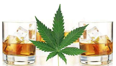 Marijuana vs. Alcohol