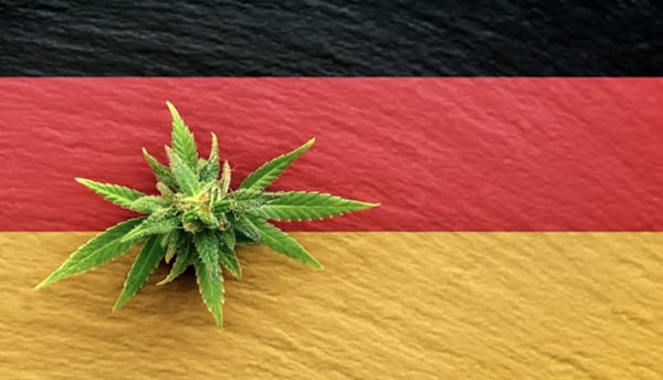 Germany Legalizes Cannabis