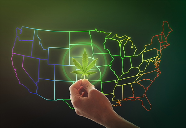Which states will legalize cannabis in 2024