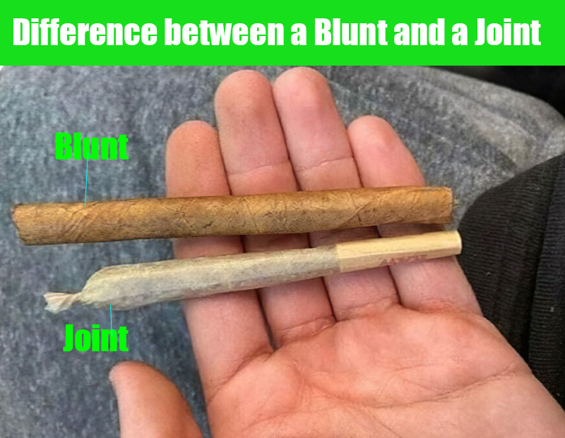 Difference Between a Joint and a Blunt