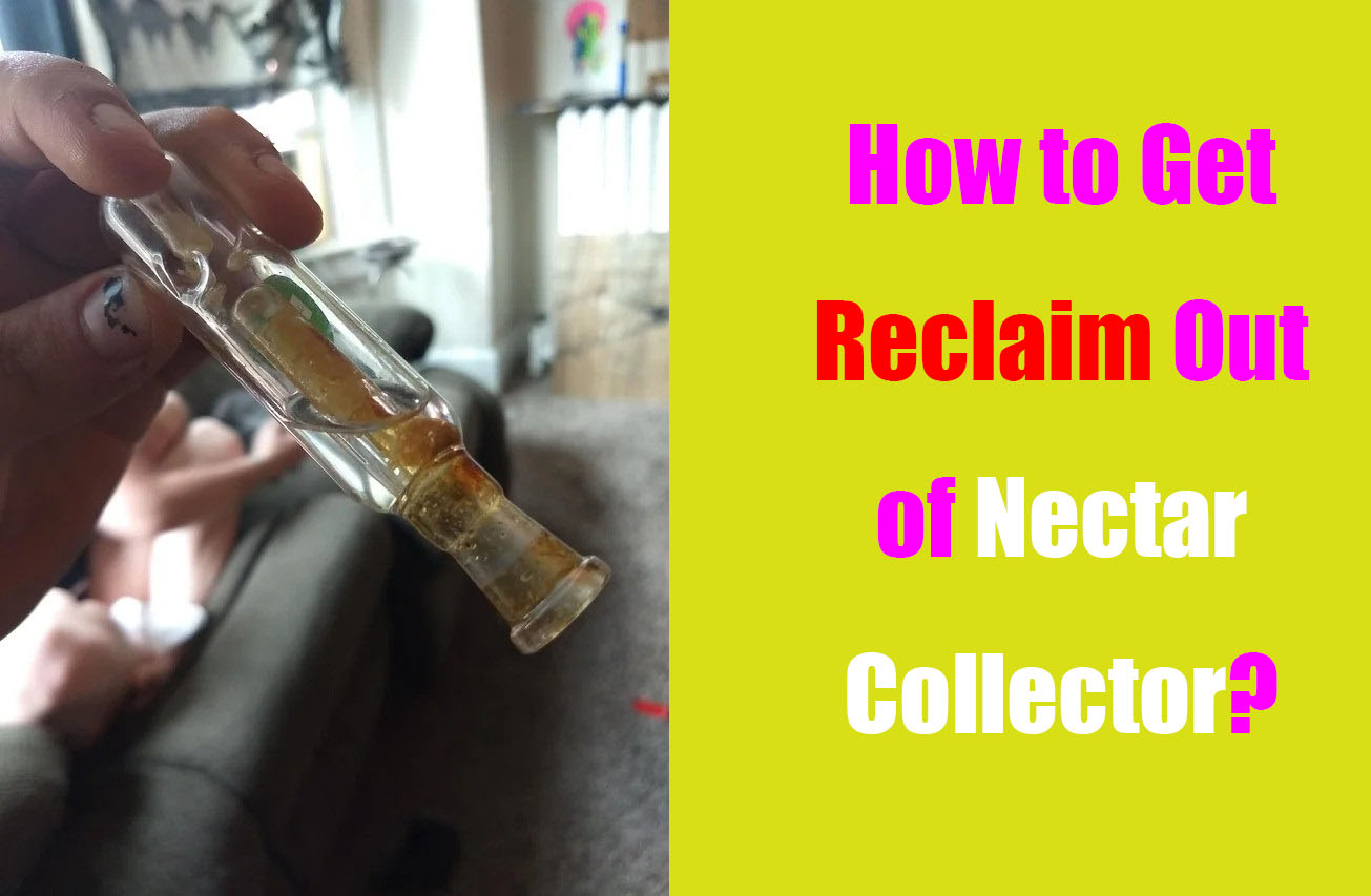 How to Get Reclaim Out of Nectar Collector