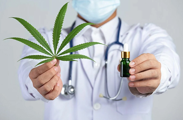  Thailand's Move Towards Medicinal Cannabis