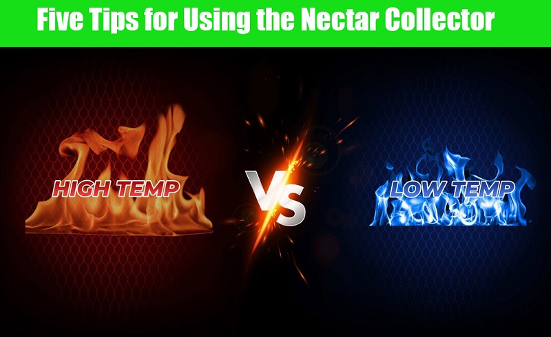 Five Tips for Using the Nectar Collector