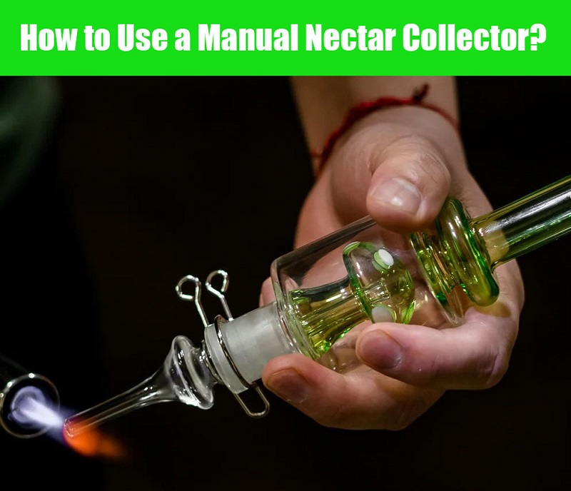 How to Use a Manual Nectar Collector