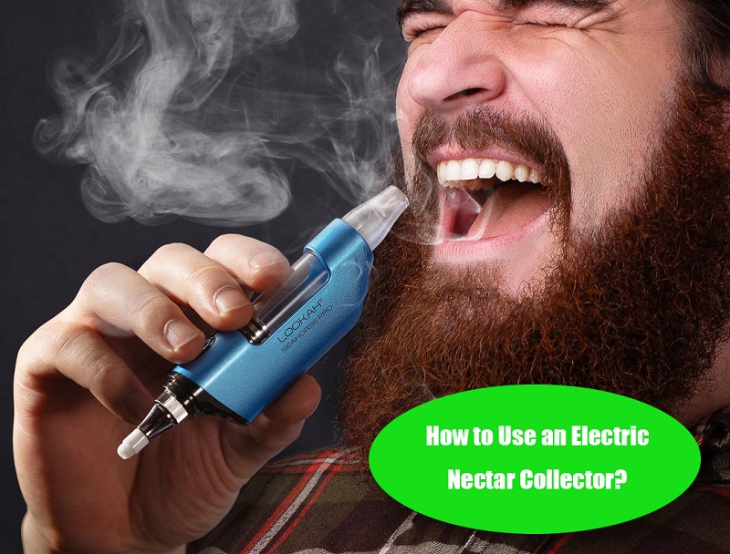 using an electronic nectar collector