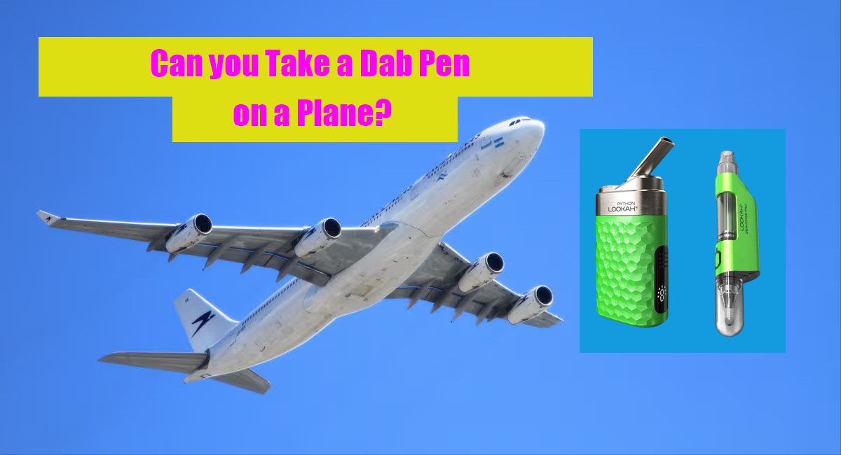 Can you Take a Dab Pen on a plane