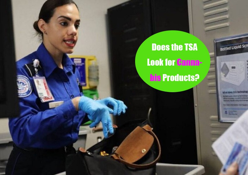 Does TSA Look for Cannabis Products