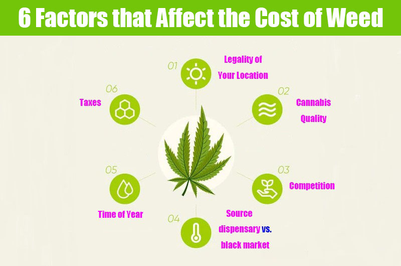 6 Factors that Affect the Cost of Weed