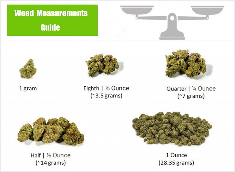 Weed Measurements Guide