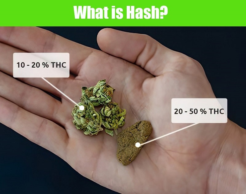 what is hash