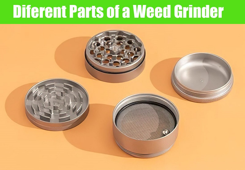 Different parts of a herb grinder