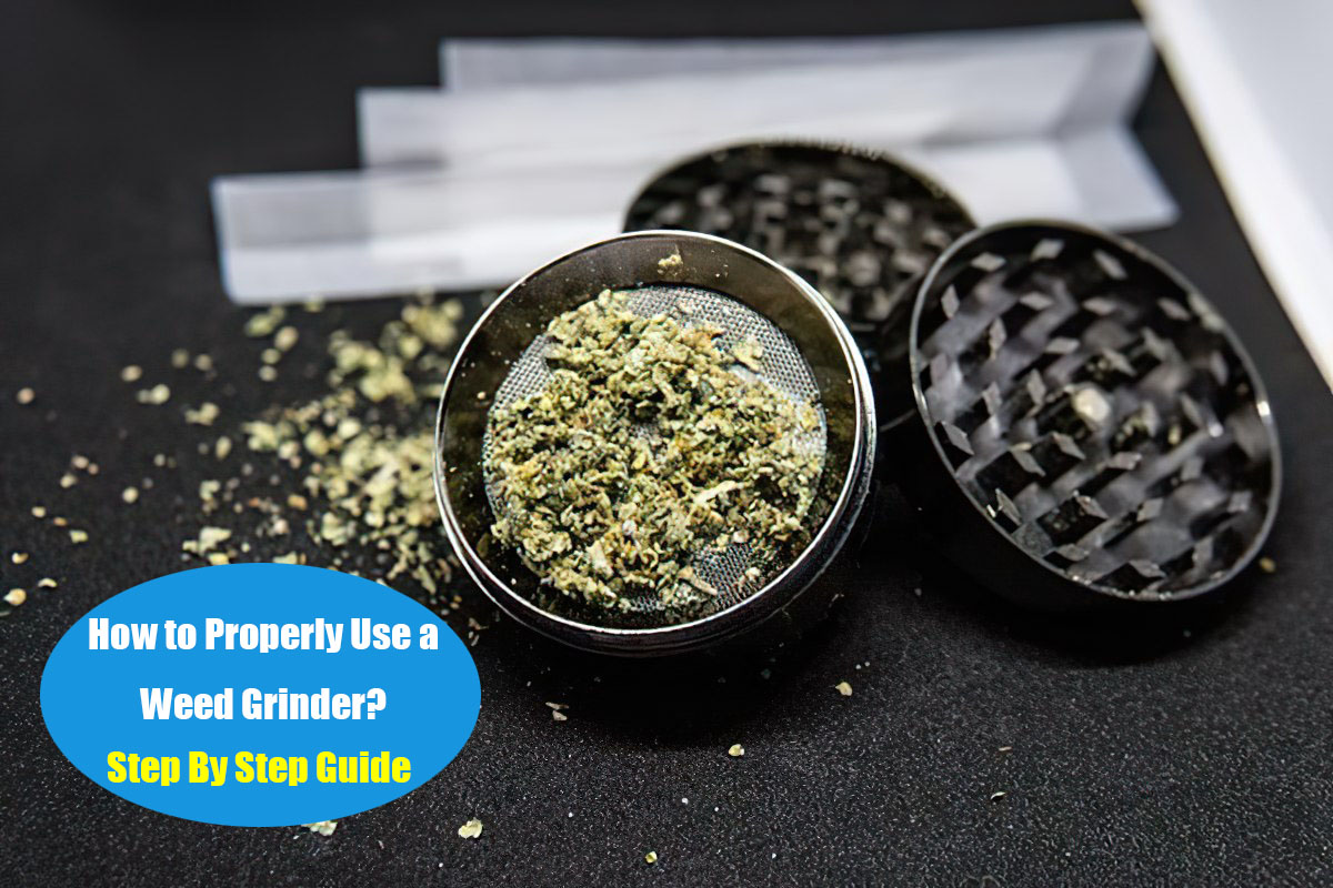 Guide on How to use Weed Grinders