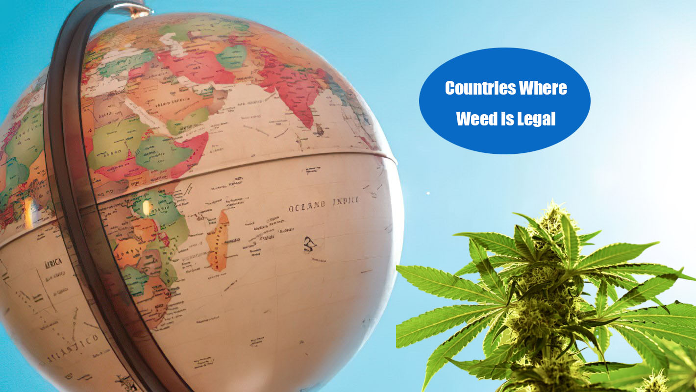 Countries Where Weed is Legal in 2024