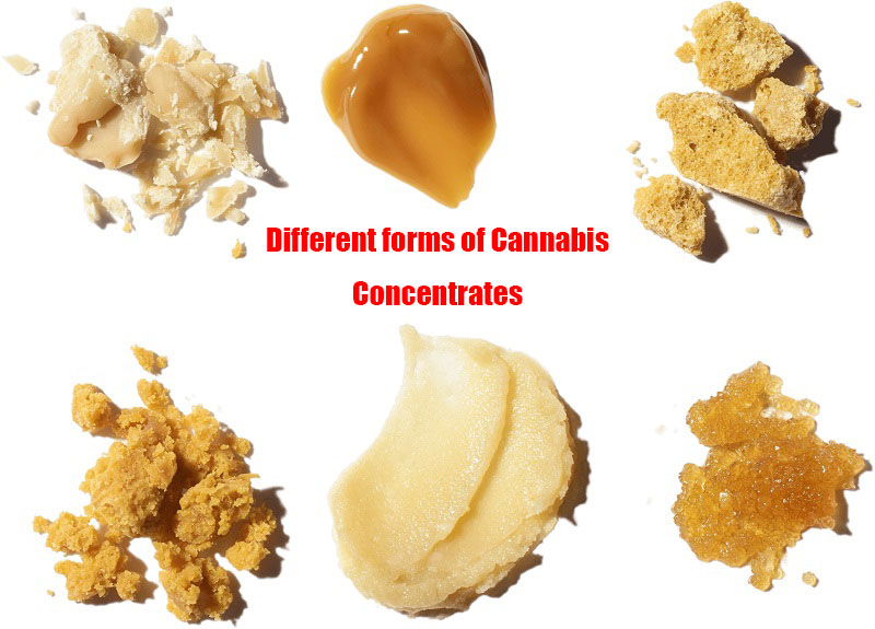 Different forms of Cannabis Concentrates
