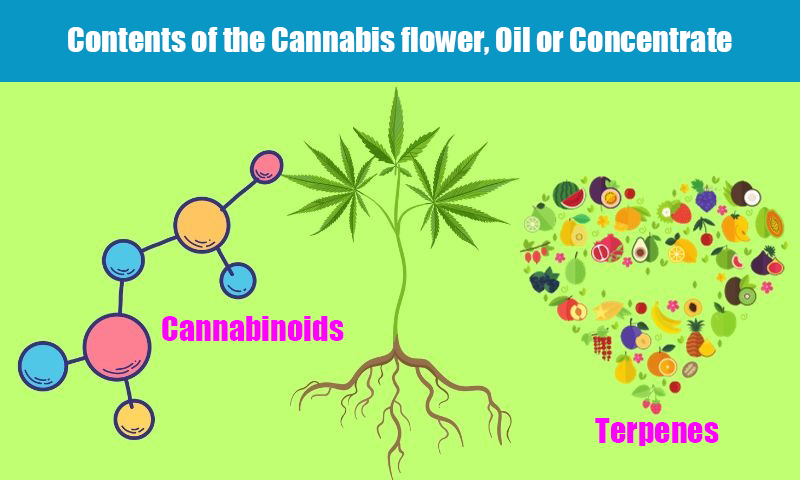 Contents of the Cannabis flower, Oil or Concentrate