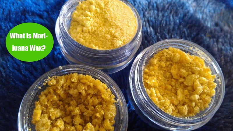 What is Marijuana Wax? How to Make and Use it? | LOOKAH