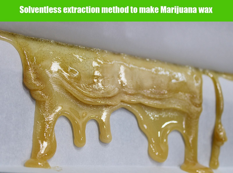 Solventless extraction method to make Marijuana wax