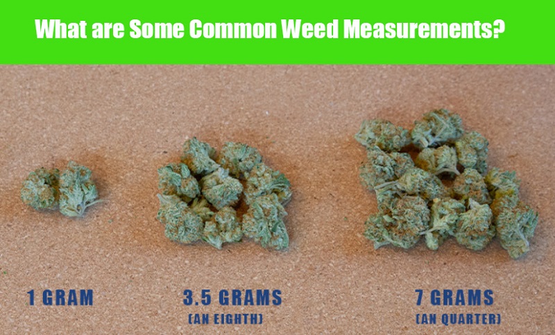 common weed weight measurements