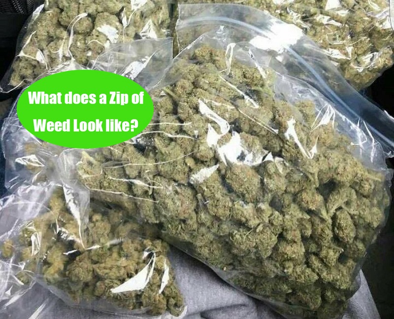 what does a zip of weed look like