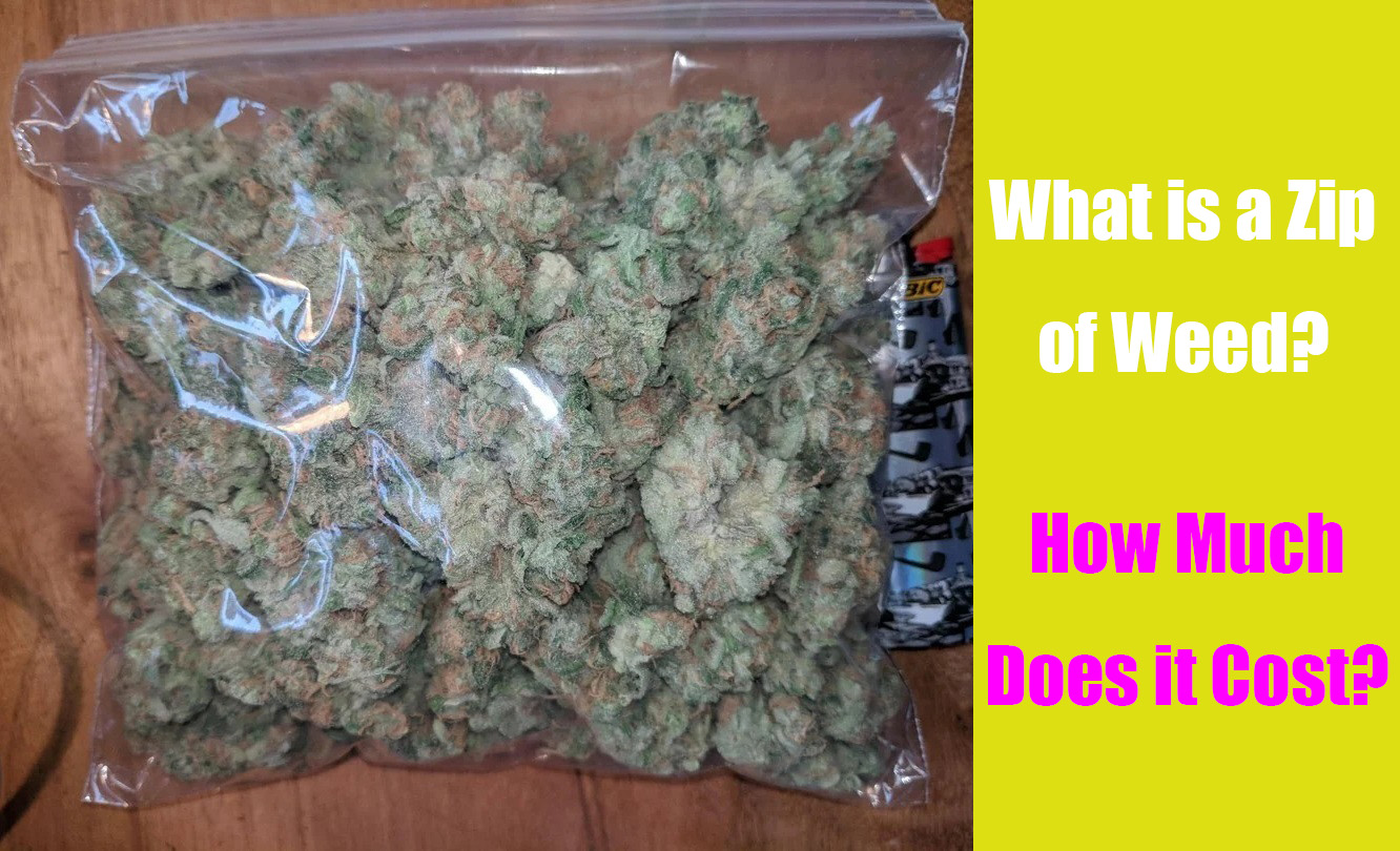 what is a zip of weed and how much