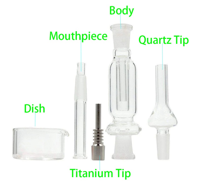 the different parts of a nectar collector labled
