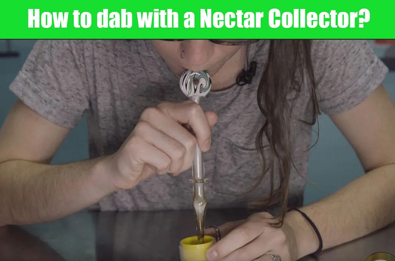 How to dab with a Nectar Collector