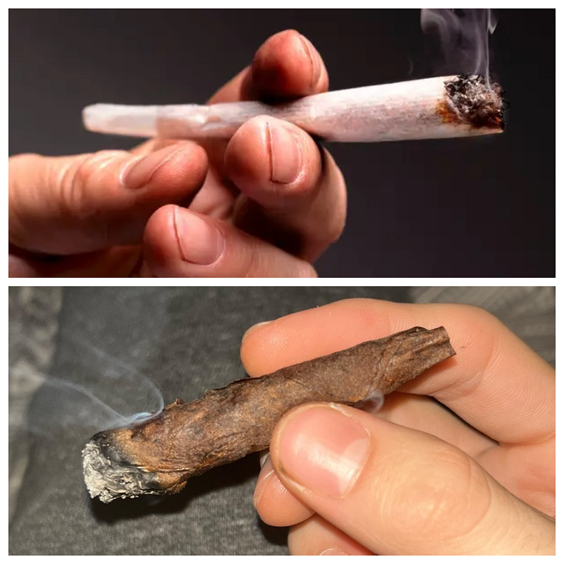 A joint and a blunt half smoked being held 