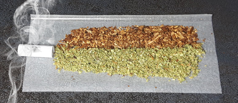 tobacco and cannabis in a rolling paper