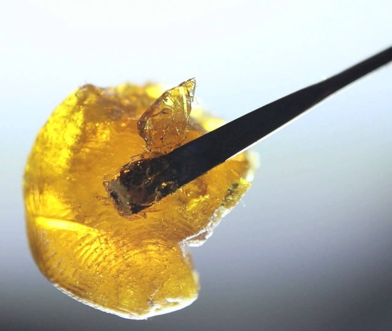 a dab of golden cannabis extract on a dab tool