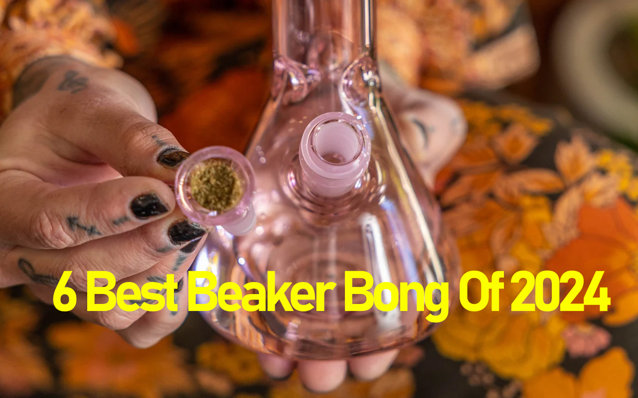 6 Best Beaker Bong Of 2024