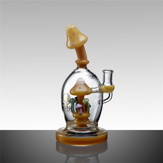 9 Cute Mushroom House Bong