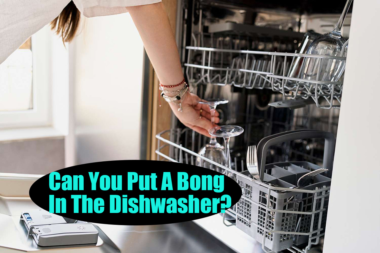 Can You Put A Bong In The Dishwasher