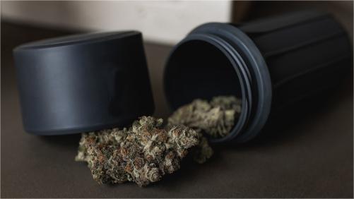 Prevent-Cannabis-Mold