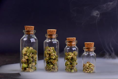 Cannabis in glass Jar