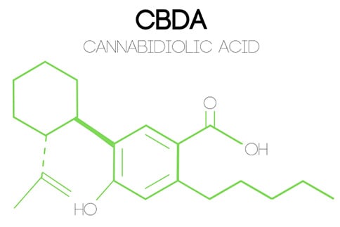 Cannabidiolic Acid