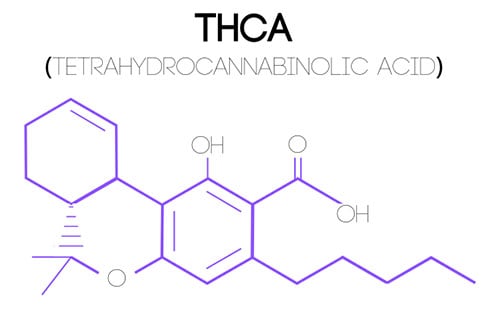 Tetrahydrocannabinolic Acid