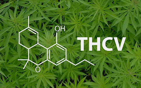 Top 10 Cannabinoids - Lookah