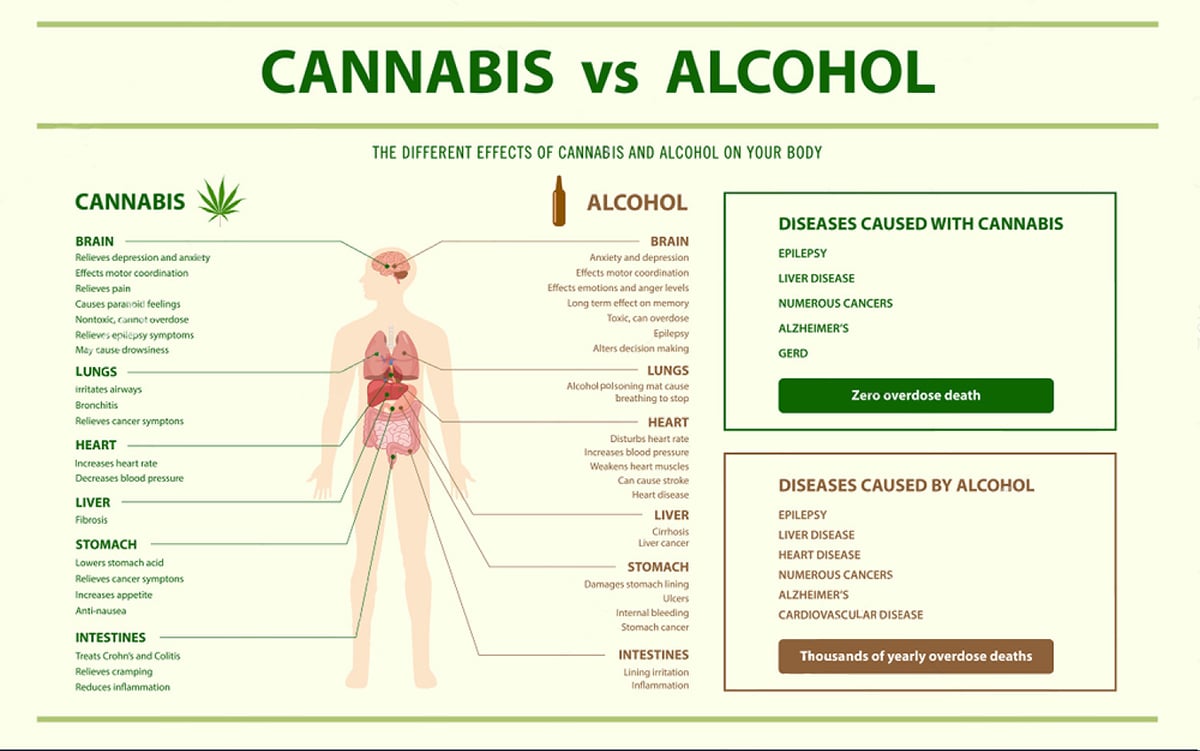 Cannabis and Alcohol Pros n Cons