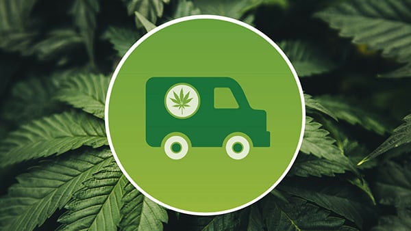 Types of cannabis delivery models: