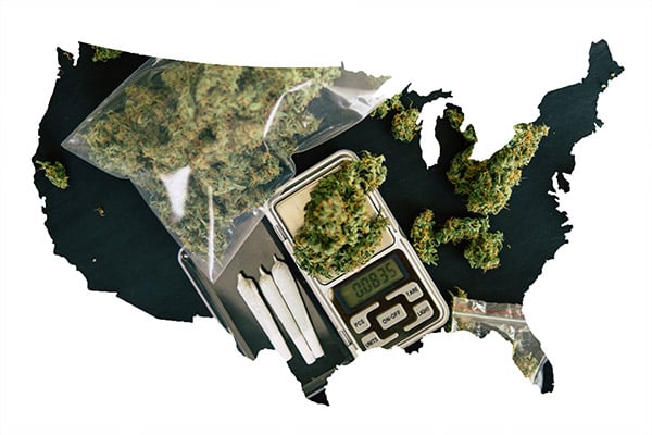 How to start a marijuana distribution business in the U.S.