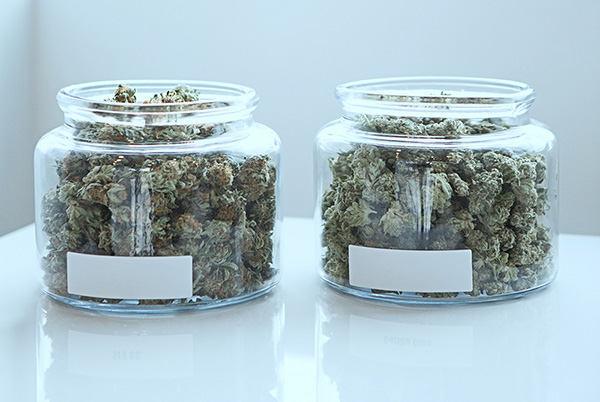 What is the main difference between recreational and medical marijuana?