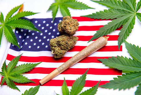 Cannabis on USA Flag