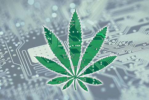 Technology Cannabis leaf
