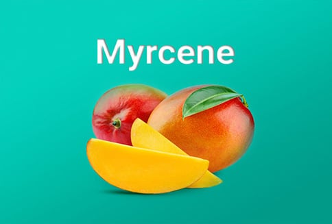 Myrcene 