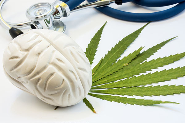 Cannabis And Memory Revealing The Intricate Connections And Surprising Effects Of CBD