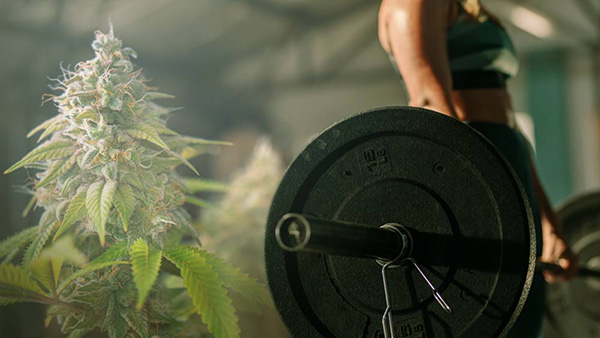 exercise weed tolerance