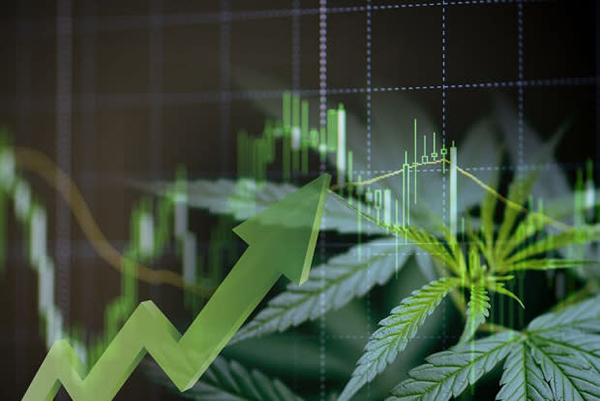 Global cannabis sales will reach $55 billion by 2027