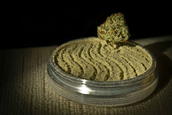 Grind and collect your kief