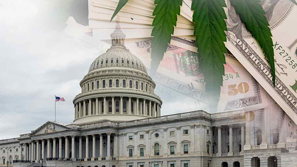 Landmark marijuana financing bill clears major hurdle in the Senate