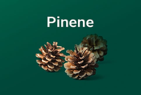 Pinene